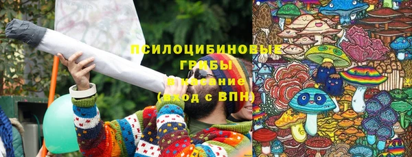 круглые Белокуриха