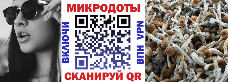 Галлюциногенные грибы GOLDEN TEACHER  Кондрово 